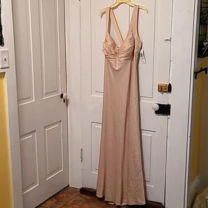 👗🆕️Blu Sage Champagne Dress👗